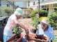 Atelier jardinage à La Fontaine Médicis La Fontaine Médicis Cucq